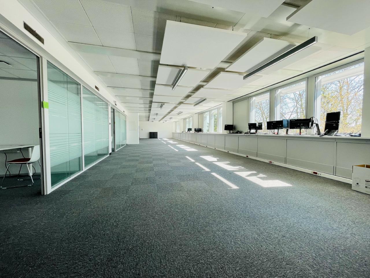 Bureau Strasbourg 2442m² Location bureau Strasbourg Bas-Rhin OLBUR2310518 5